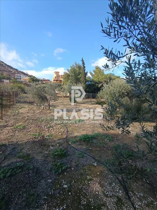 Οικόπεδο 697τ.μ.  - 4