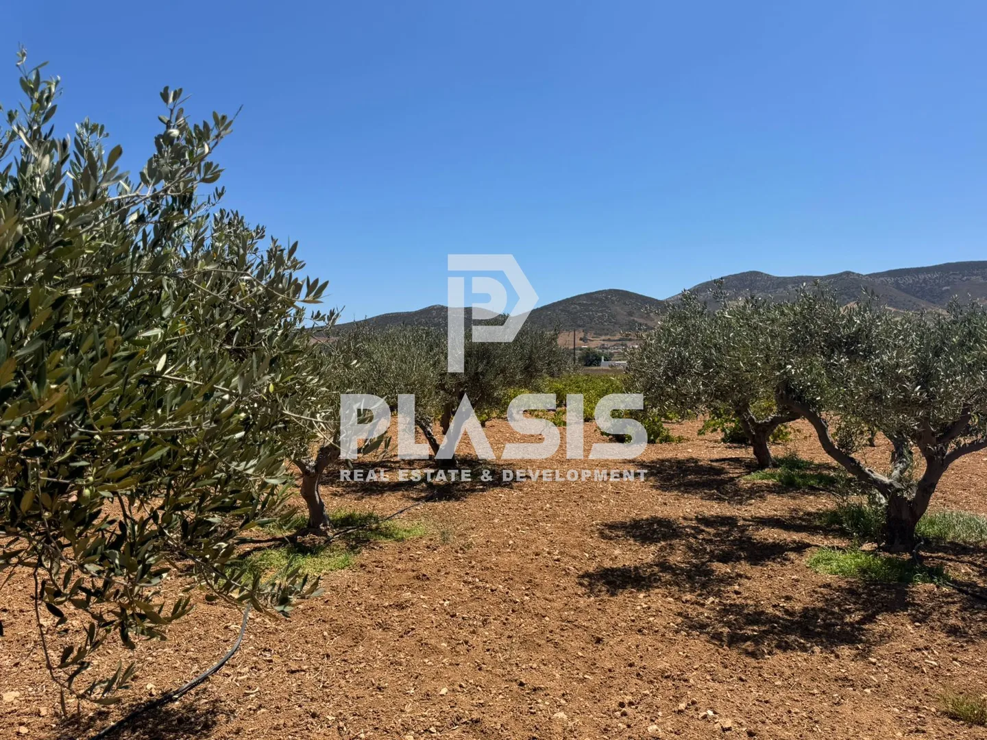Αγροτεμάχιο 8300τ.μ.  - 5
