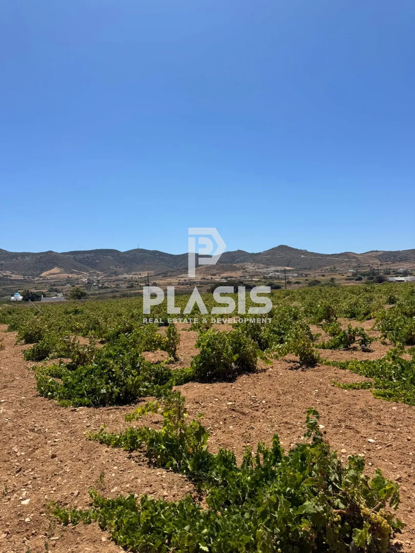 Land Parcel 9000m²  - 2