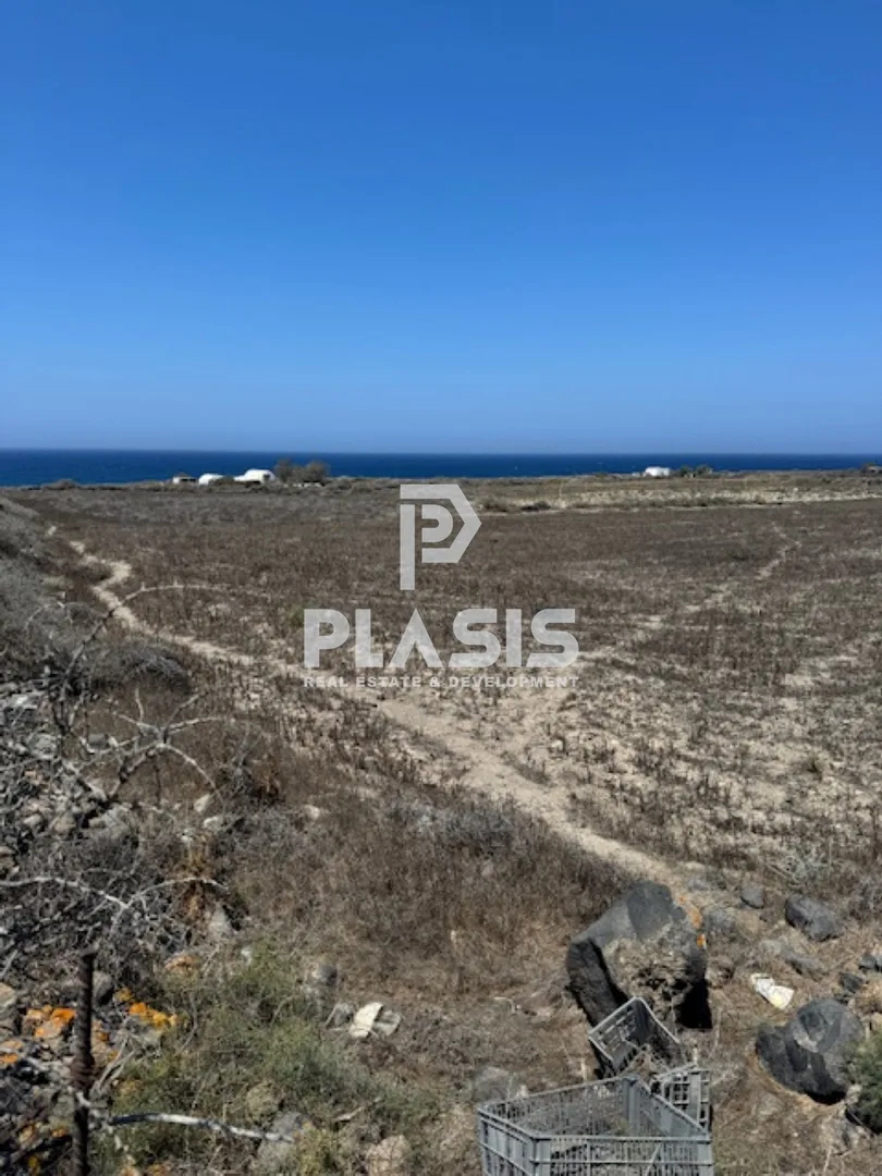 Αγροτεμάχιο 24781τ.μ.  - 2