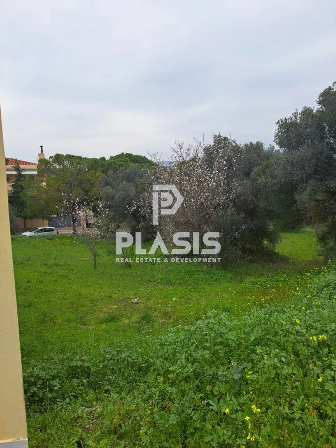 Plot 1007m²  - 2