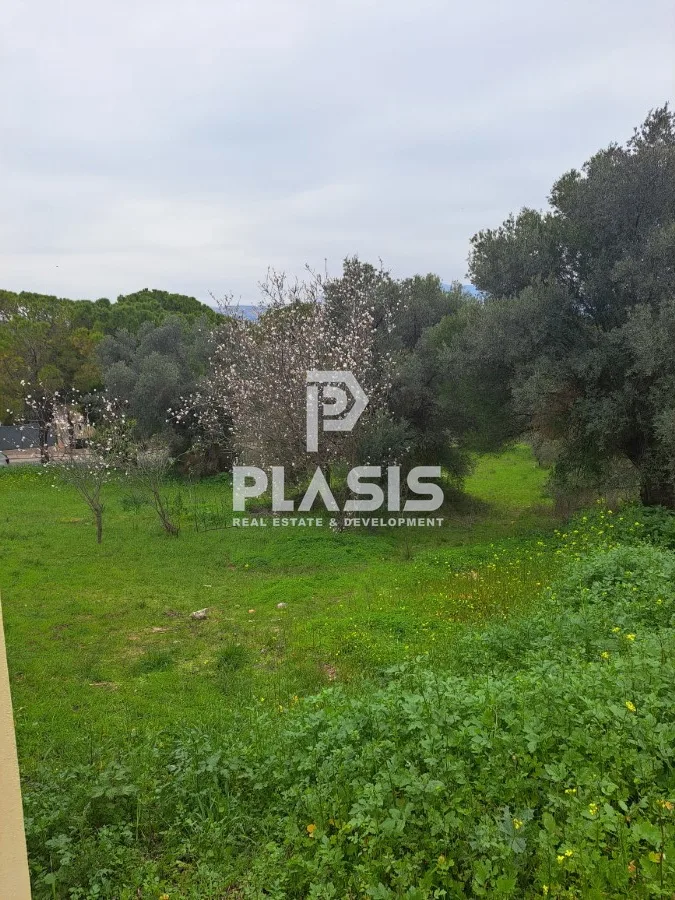 Plot 1007m²  - 3
