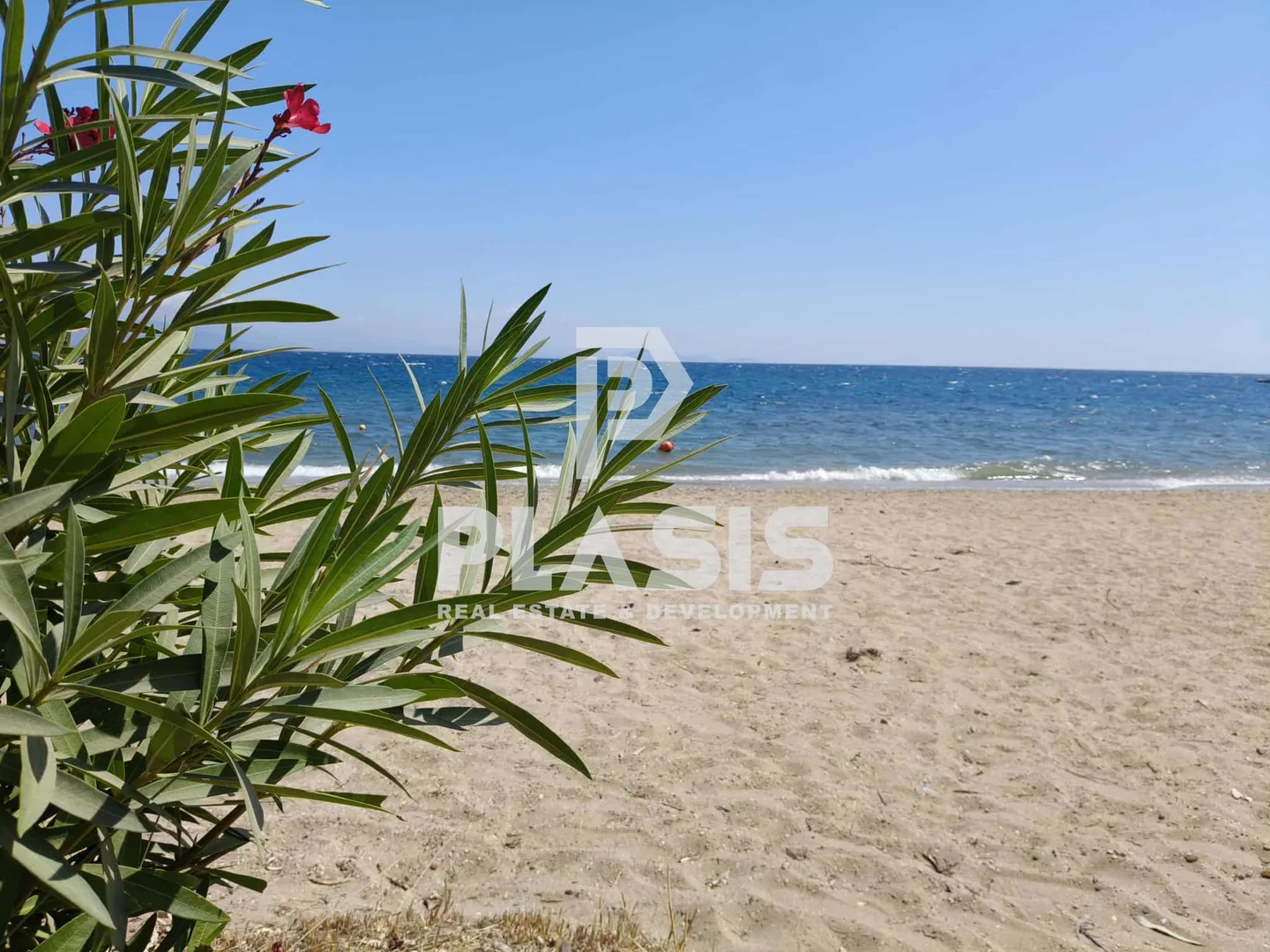 Άλλο.. 5365τ.μ. Έκταση  - 3