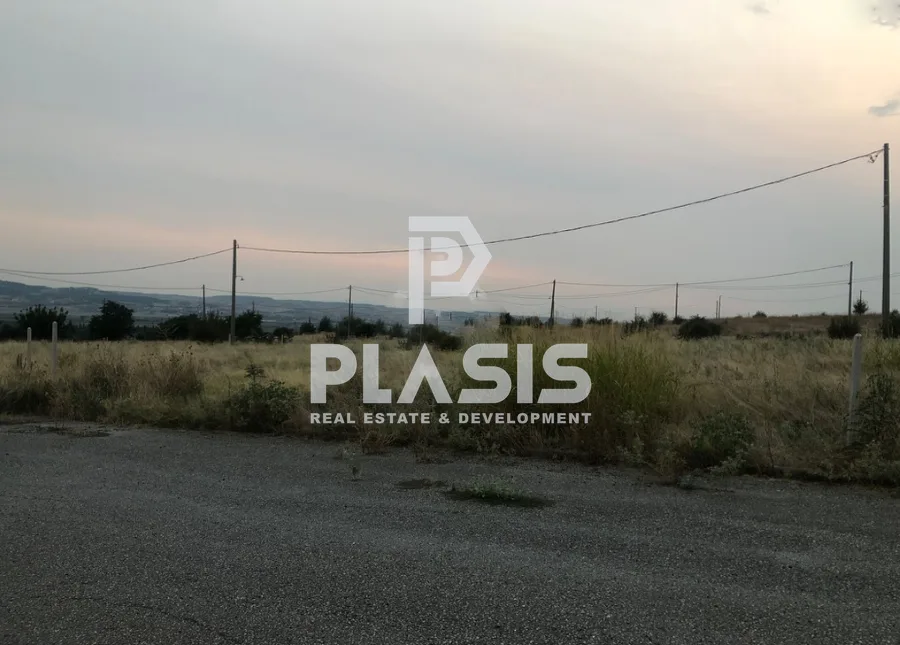 Plot 400m²  - 4