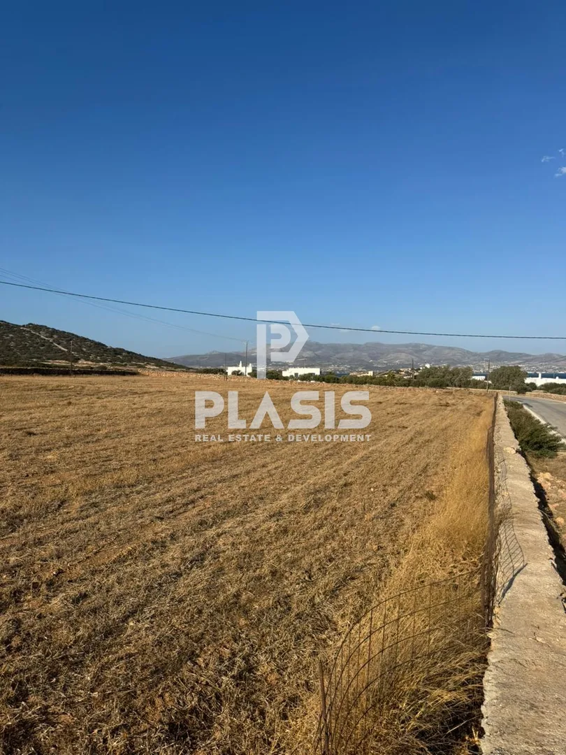 Αγροτεμάχιο 8000τ.μ.  - 4
