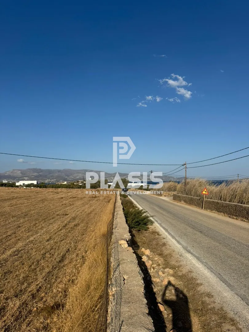 Αγροτεμάχιο 8000τ.μ.  - 5