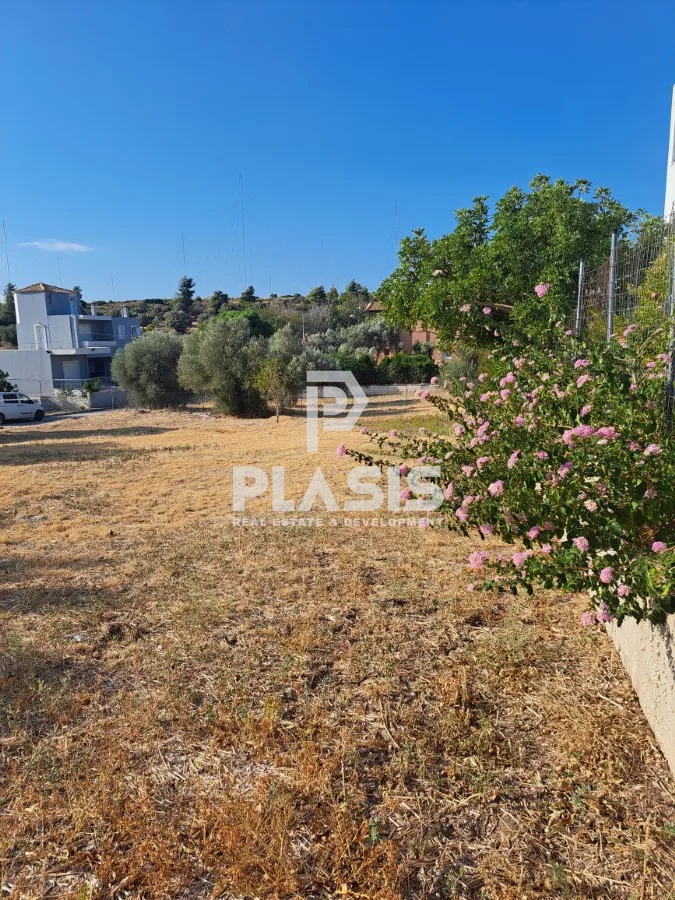Plot 815m²  - 2
