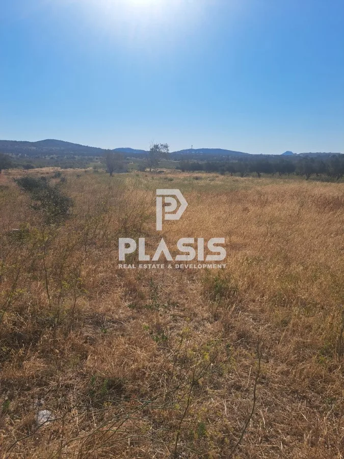 Land Parcel 4800m²  - 2