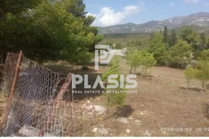 Οικόπεδο 7099τ.μ.  - 2