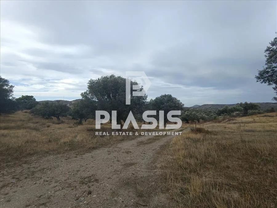 Plot 9000m²  - 4