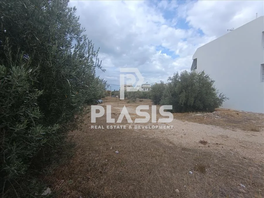 Οικόπεδο 465τ.μ.  - 5