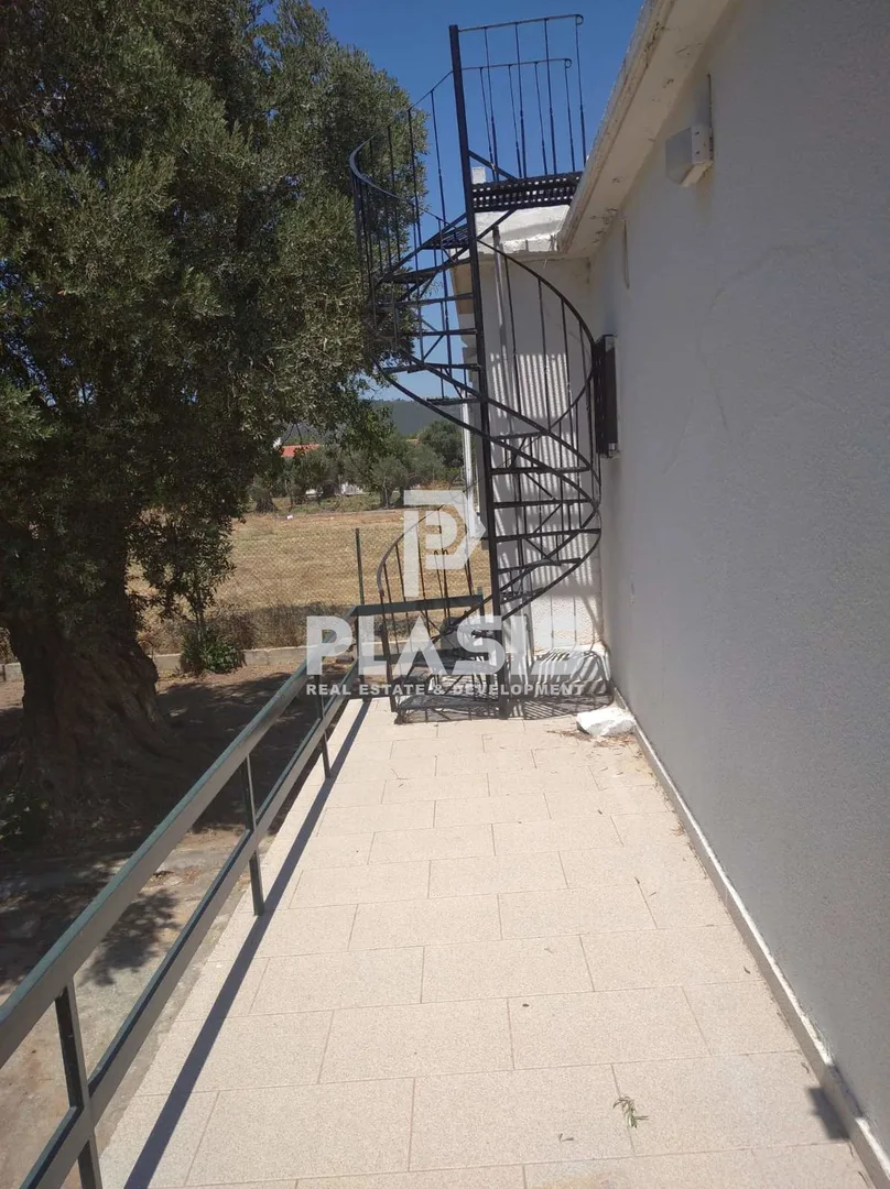 Μονοκατοικία 57τ.μ.  - 4