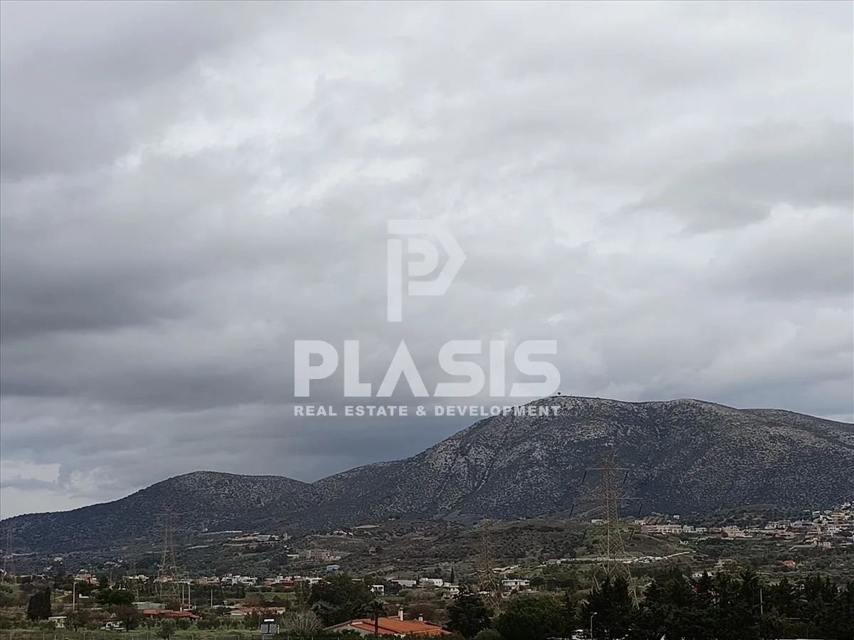 Plot 5000m²  - 3