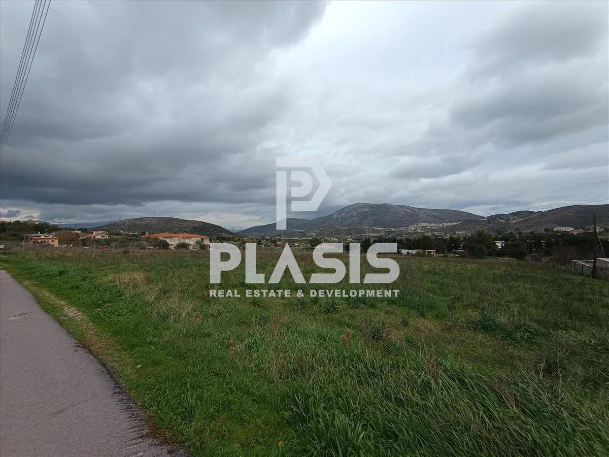 Plot 5000m²  - 4