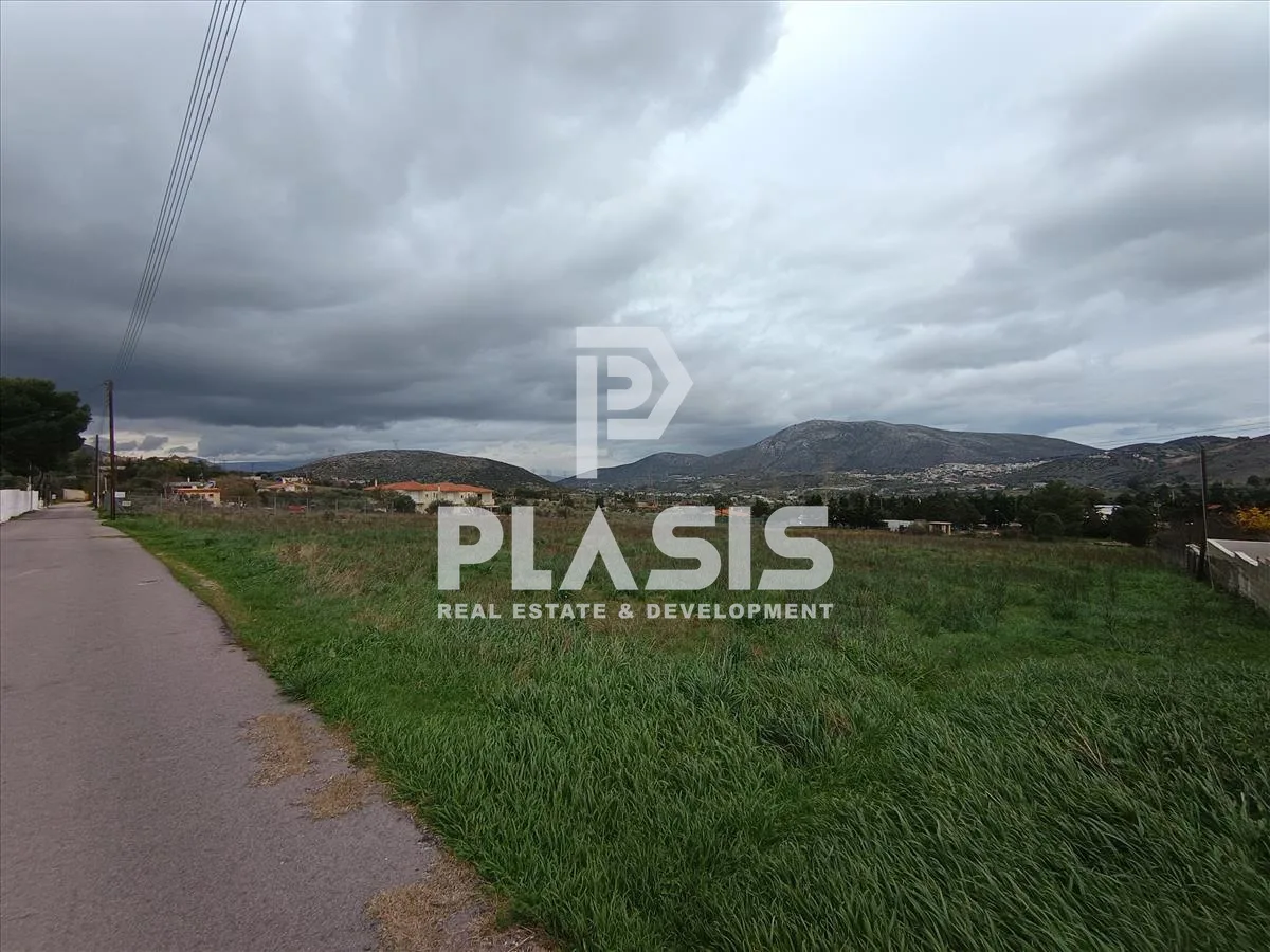 Plot 5000m²  - 5