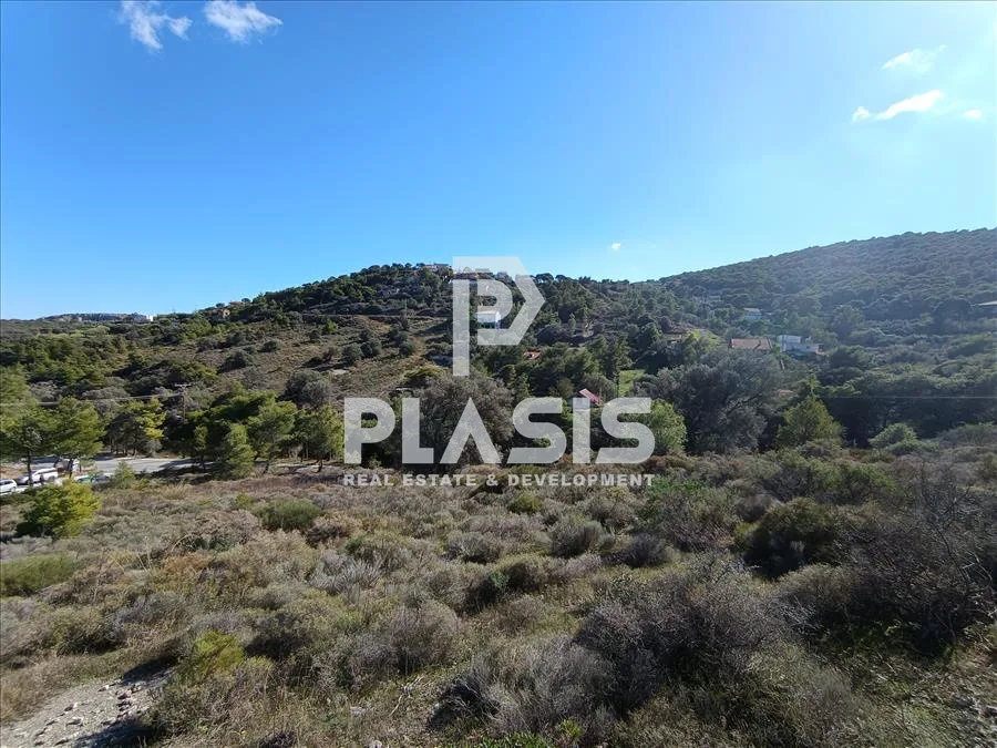 Plot 6300m²  - 2