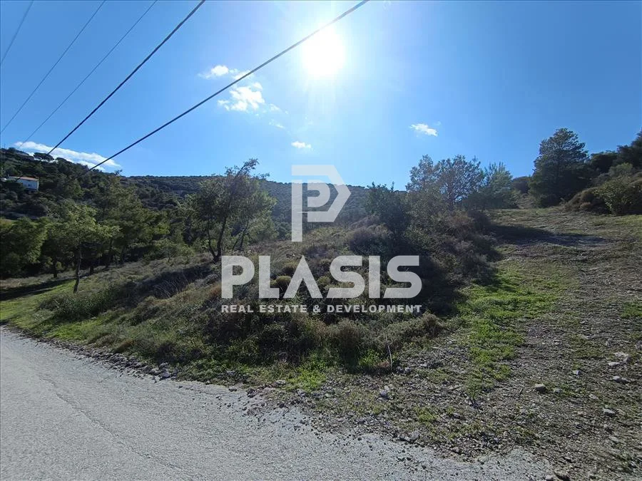 Plot 6300m²  - 3