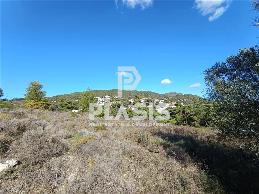 Plot 6300m²  - 5