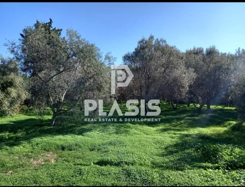 Land Parcel 7000m²  - 4