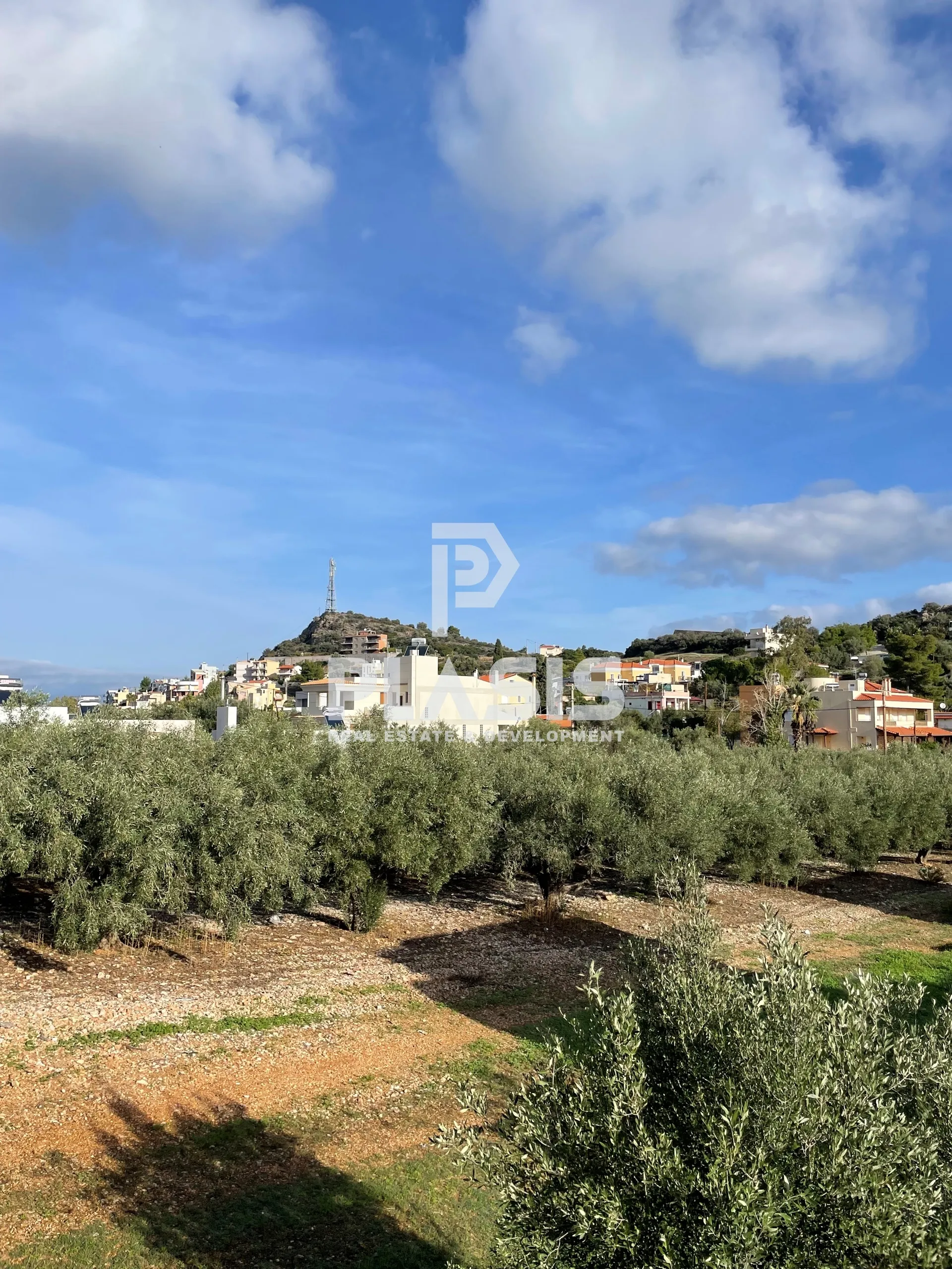 Μεζονέτα 233τ.μ.  - 5