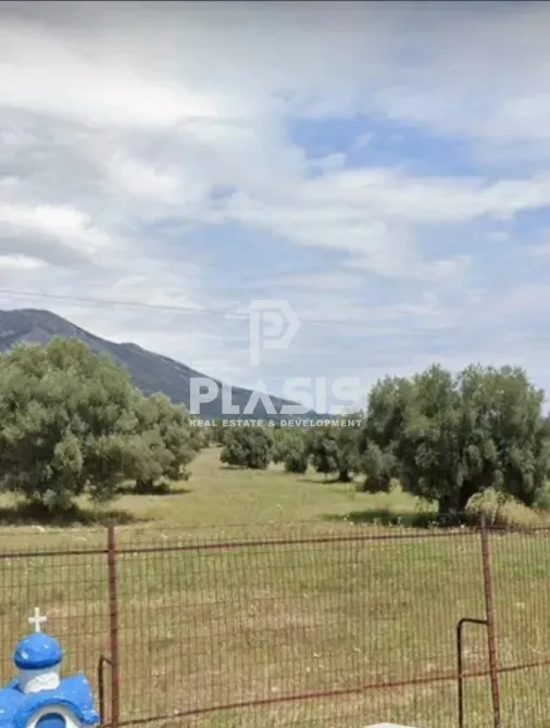 Land Parcel 74557m²  - 5