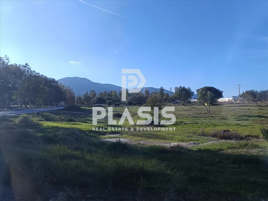 Plot 3300m²  - 4