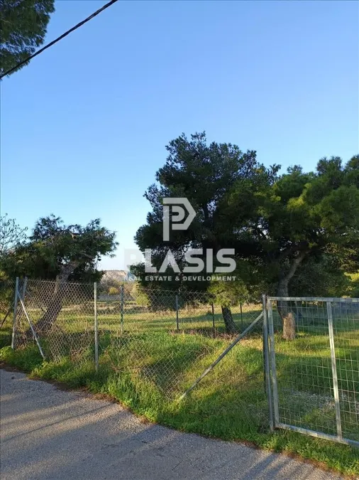 Plot 600m²  - 2