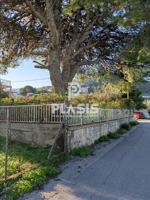 Plot 600m²  - 3