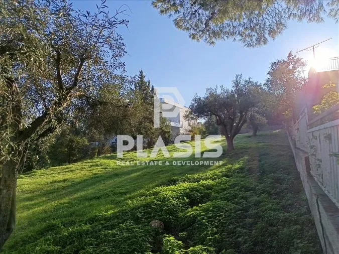 Plot 600m²  - 4