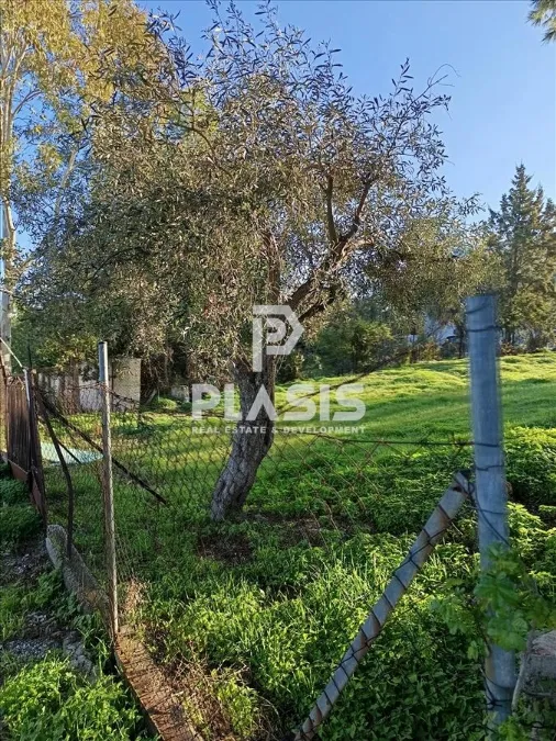 Plot 600m²  - 5