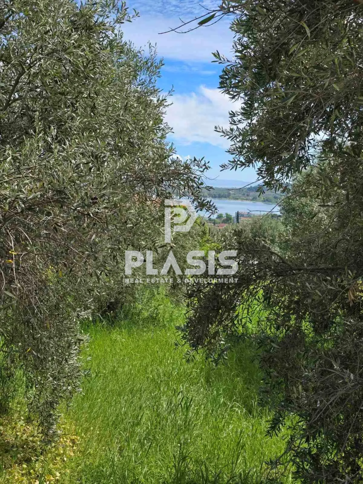 Οικόπεδο 402τ.μ.  - 4