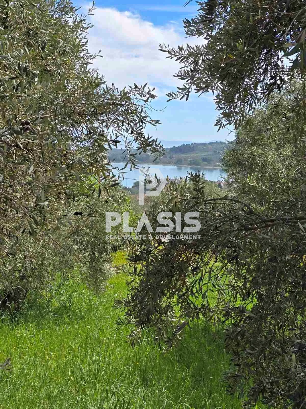 Οικόπεδο 402τ.μ.  - 5
