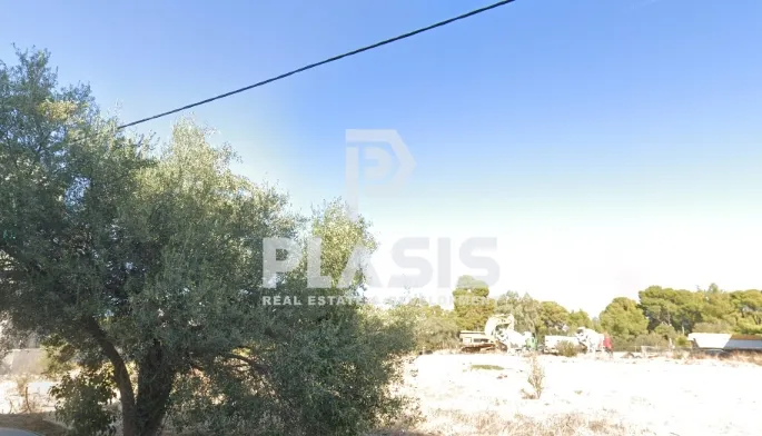 Οικόπεδο 3850τ.μ.  - 2