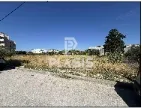 Οικόπεδο 3850τ.μ.  - 4