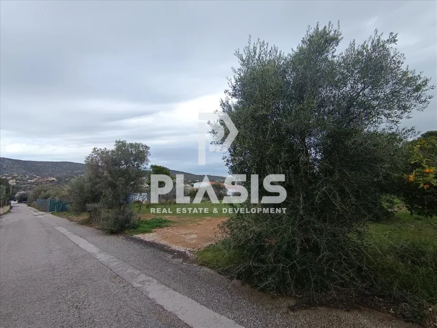 Οικόπεδο 1460τ.μ.  - 2