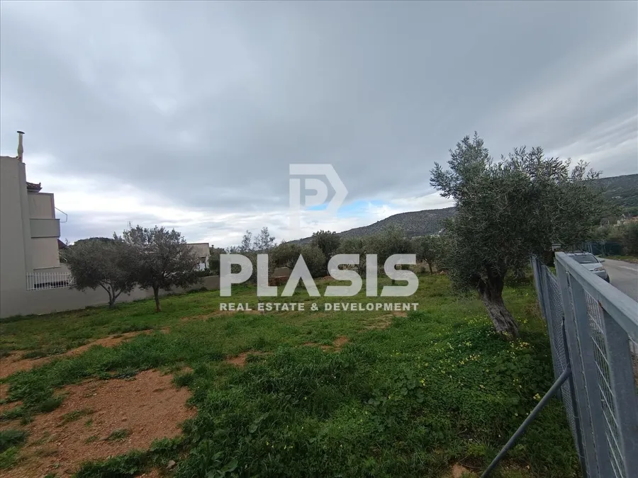 Οικόπεδο 1460τ.μ.  - 5