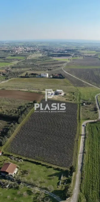 Αγροτεμάχιο 6300τ.μ.  - 5