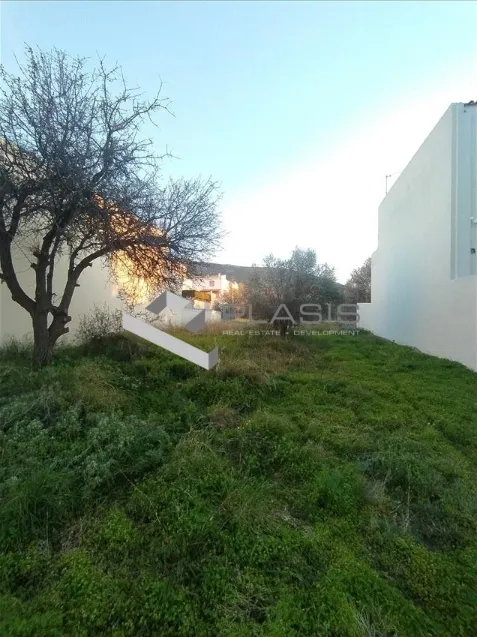 Plot 305m²  - 4