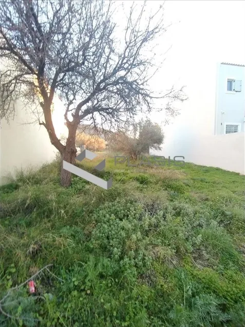 Plot 305m²  - 5