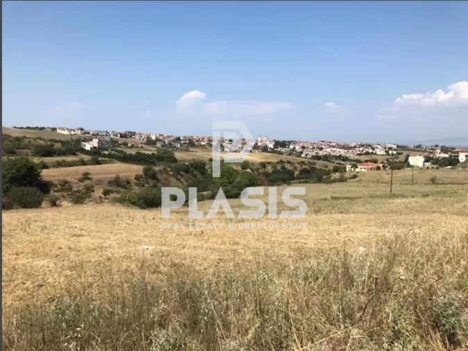 Αγροτεμάχιο 4500τ.μ.  - 2