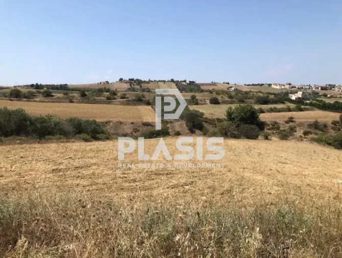 Αγροτεμάχιο 4500τ.μ.  - 3