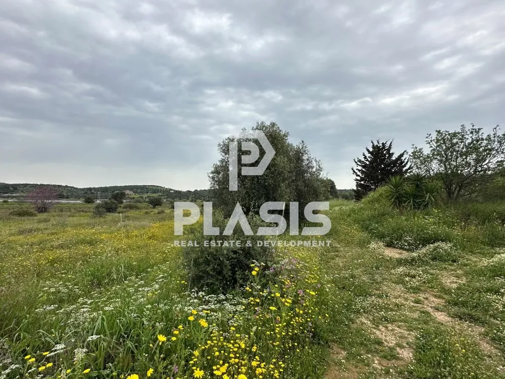 Land Parcel 7966m²  - 2