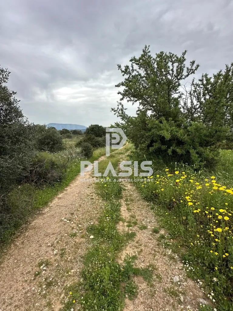 Land Parcel 7966m²  - 3