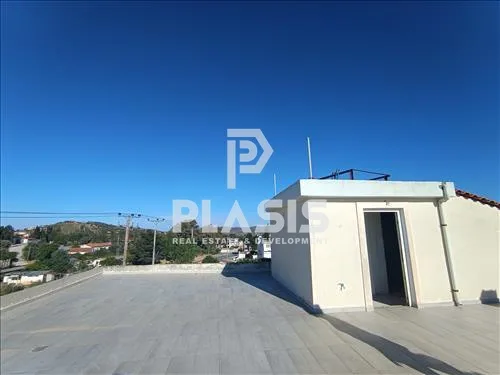 Detached house 300m²  - 2