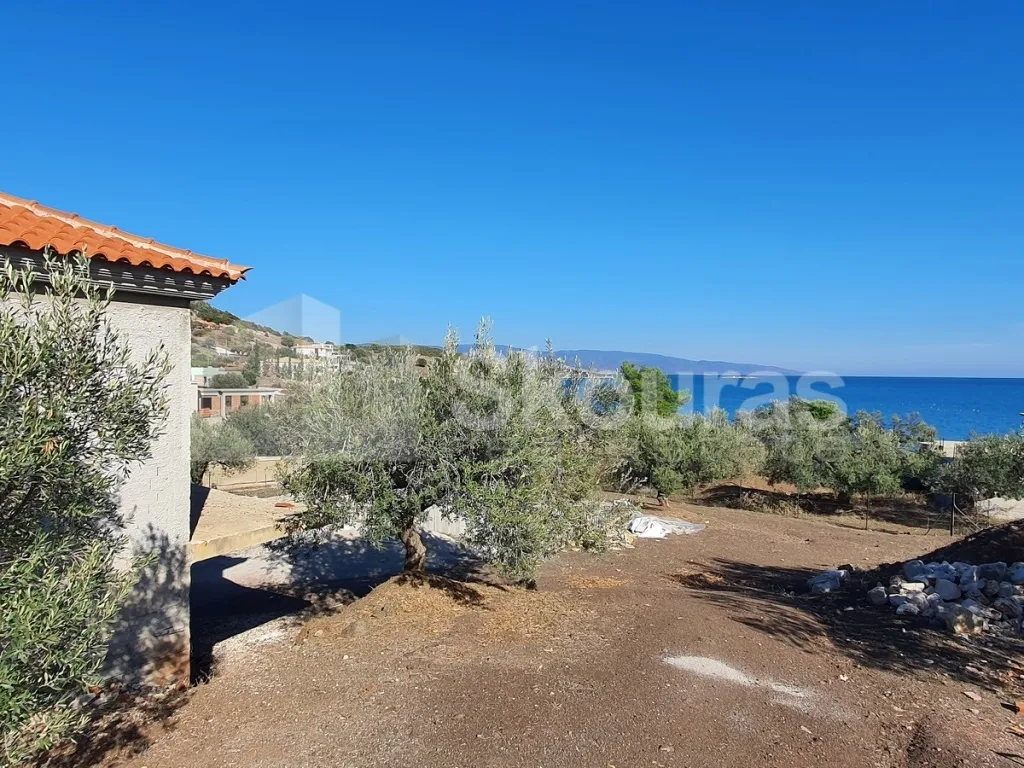 Μονοκατοικία 200τ.μ.  - 2
