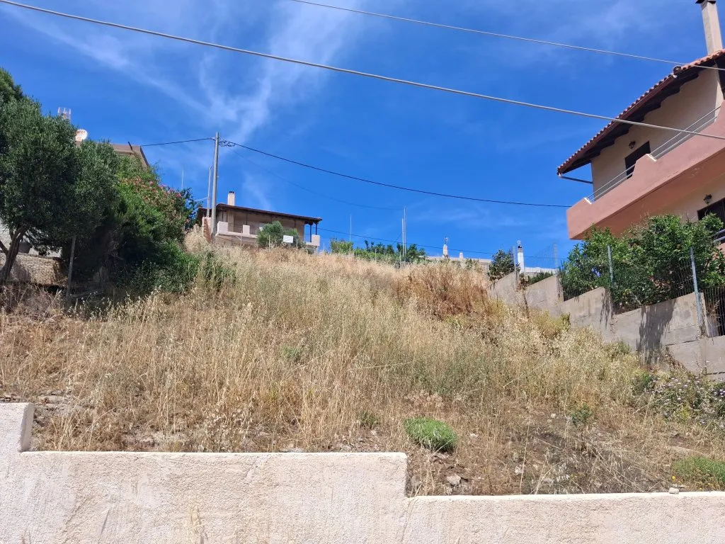 Plot 726m²  - 3