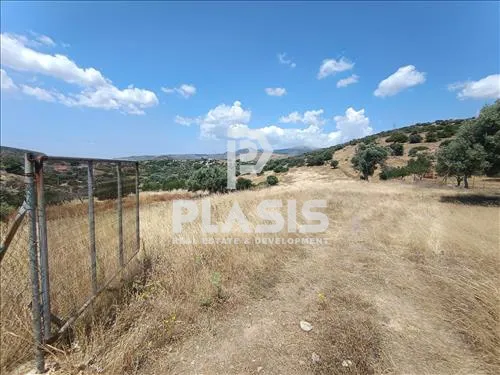 Οικόπεδο 4300τ.μ.  - 2