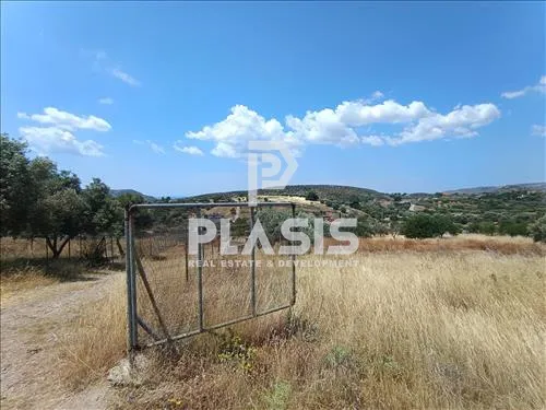 Οικόπεδο 4300τ.μ.  - 3