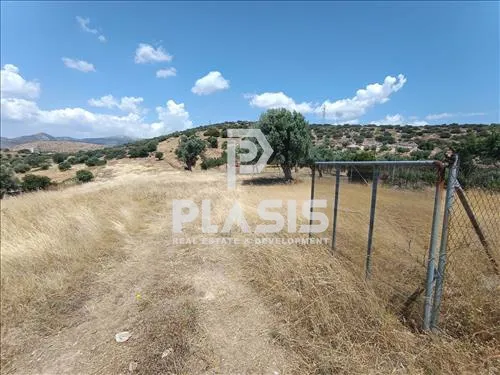 Οικόπεδο 4300τ.μ.  - 4