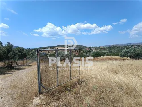 Οικόπεδο 4300τ.μ.  - 5